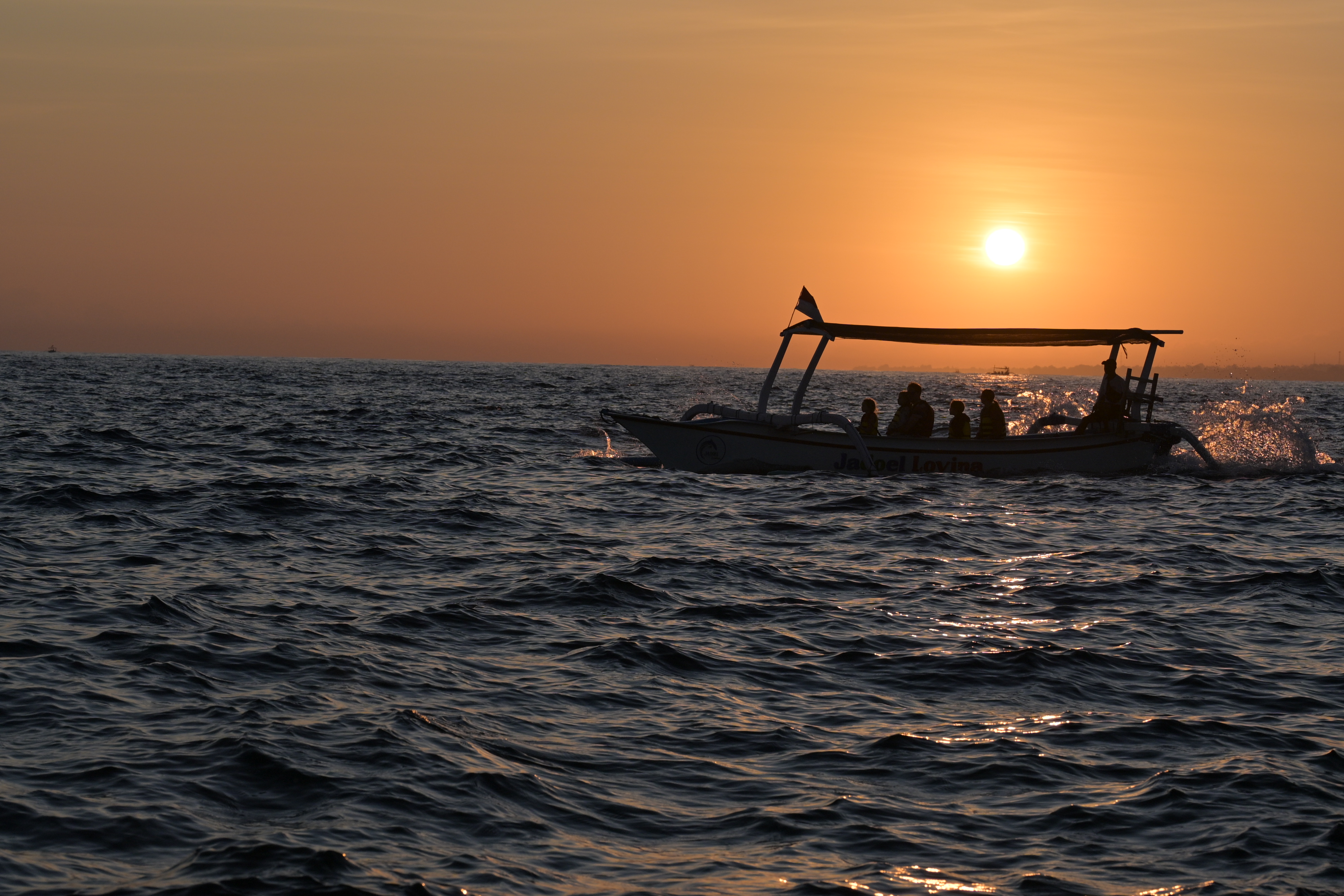 Dolphin Watching Lovina + Snorkeling + Swimming